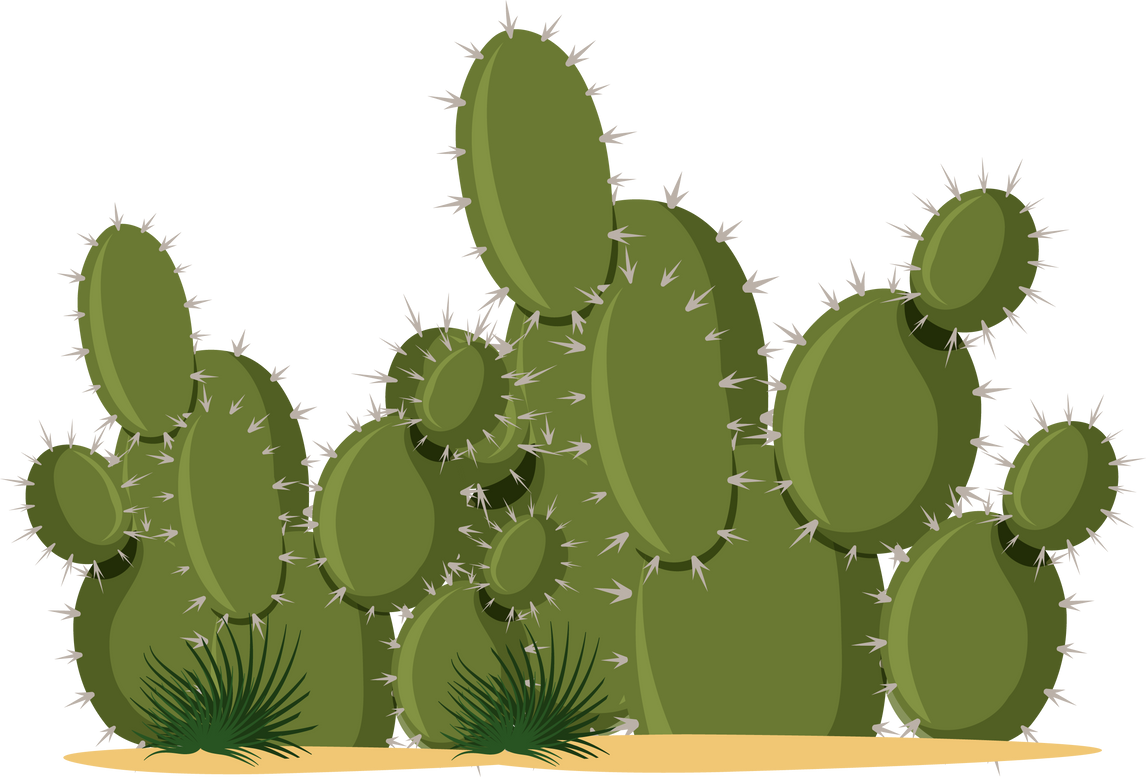 Catus plants cartoon style on white background